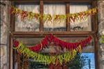 DRYING CHILLI PEPPERS