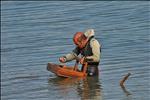 oyster collector..