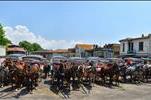 horse coaches waiting at grand island