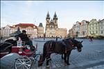horse chart at old town square,prague
